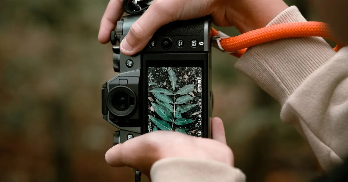 Fotografia Przyrody DIY - Przewodnik Zakupu